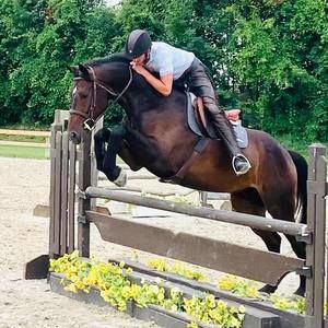 Meet your Posher, Garet